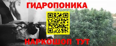 трава Ирбит