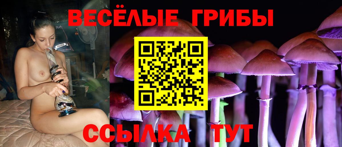 Галлюциногенные грибы MAGIC MUSHROOMS  сколько стоит  Коркино  Вход с VPN  Галлюциногенные грибы прущие грибы 